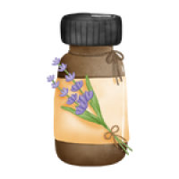 Organic Free-Range & Broiler Chicken Eggs