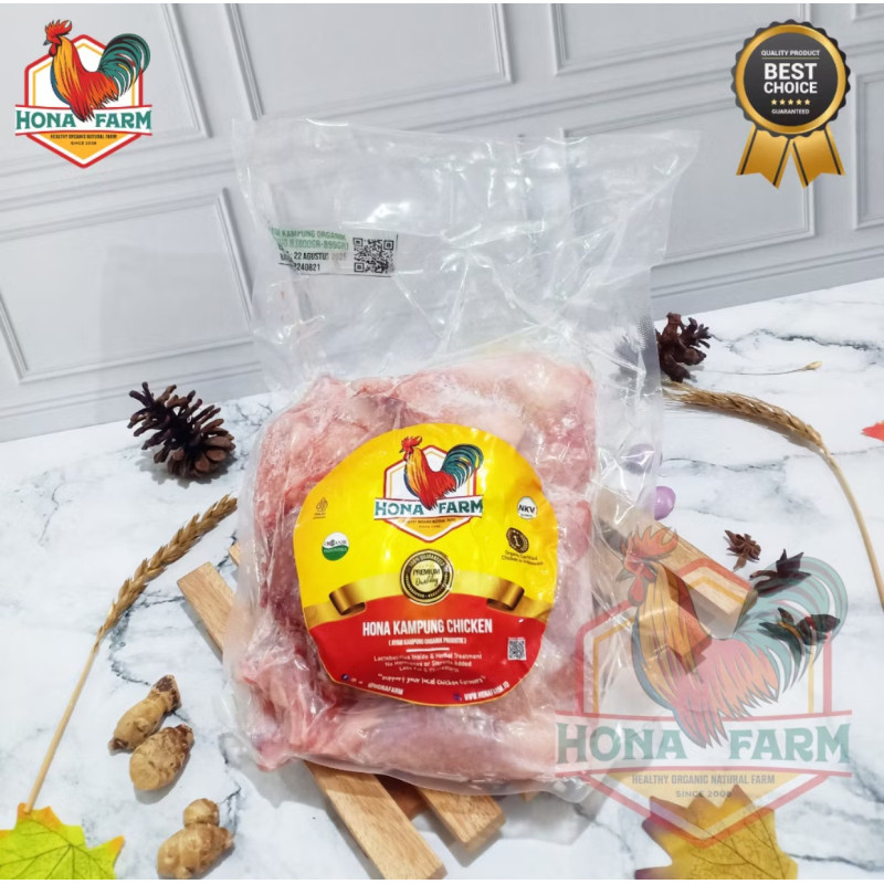 Ayam potong kampung probiotik tersertifikasi organik