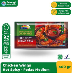 Chicken wings spicy by pelangi anak