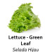 Selada hijau organik