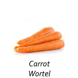 Wortel organik
