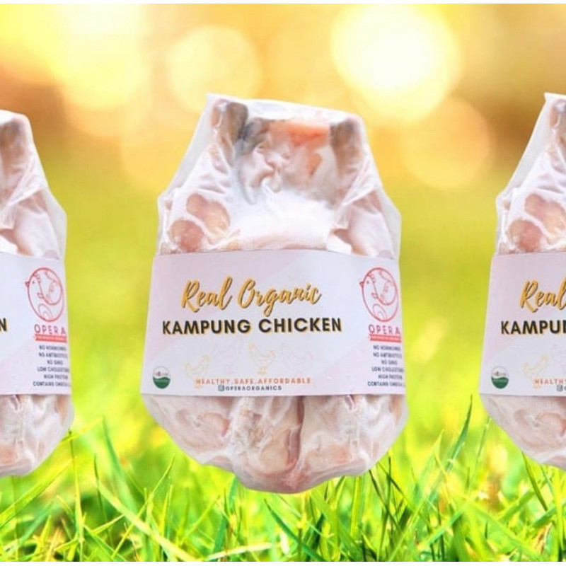 Ayam kampung organik opera by dr otan