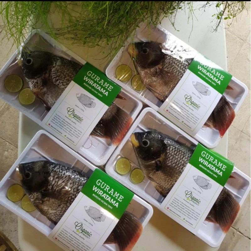 Gurame utuh organik
