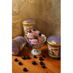 Ice cream blueberry by falik farm