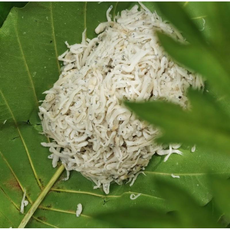 Teri nasi kering garam alami bebas pemutih
