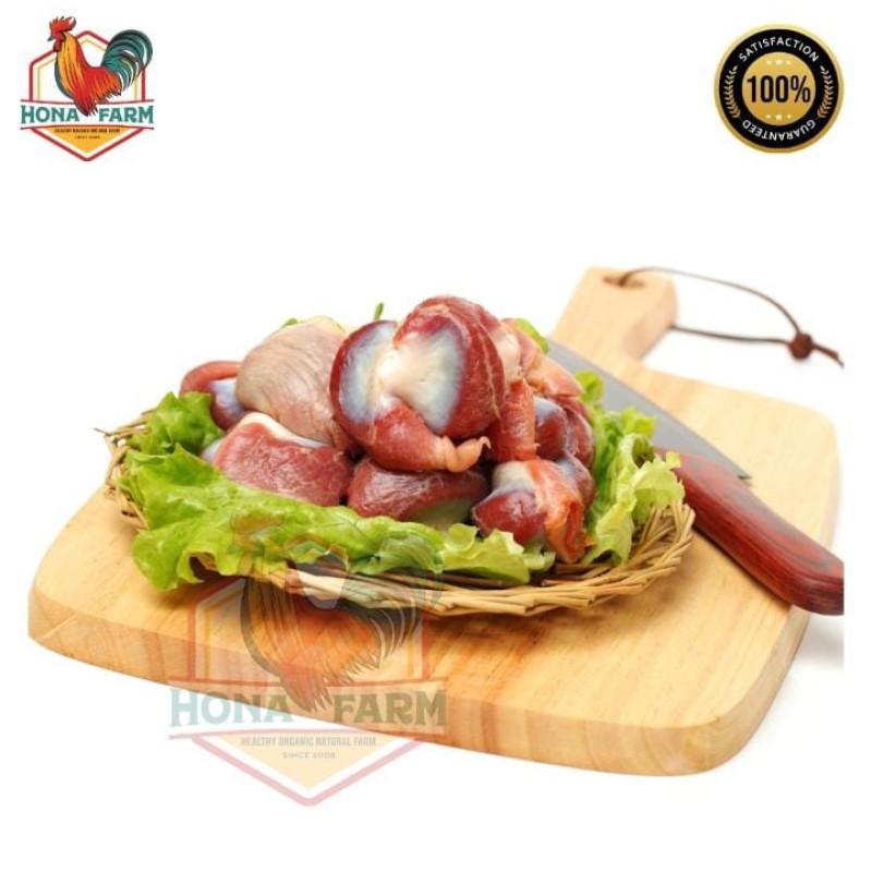 Ampela ayam negri probiotik tersertifikasi organik