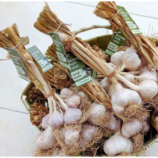 Bawang putih local non pestisida asri organik
