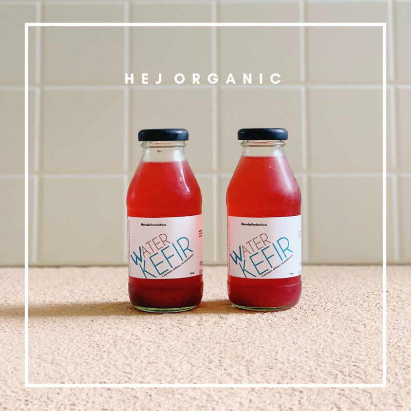 Mixberries water kefir by manda probiotica