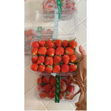 Strawberry organik ready stock