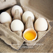 Telur bebek free range