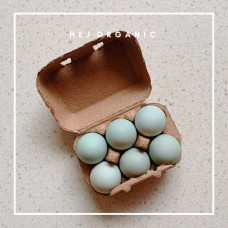 Telur bebek natural free range cage free