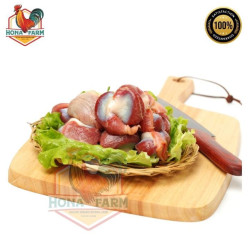 Ampela ayam negri probiotik tersertifikasi organik