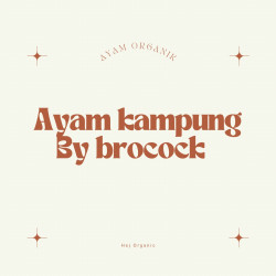 Ayam kampung brocock 700-800 gram