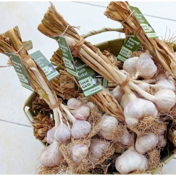 Bawang putih local non pestisida asri organik