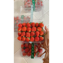 Strawberry organik ready stock
