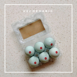 Telur bebek asin umbaran natural isi 6 butir