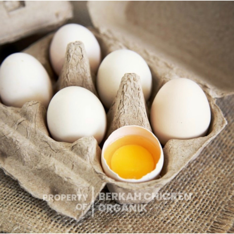 Telur bebek free range